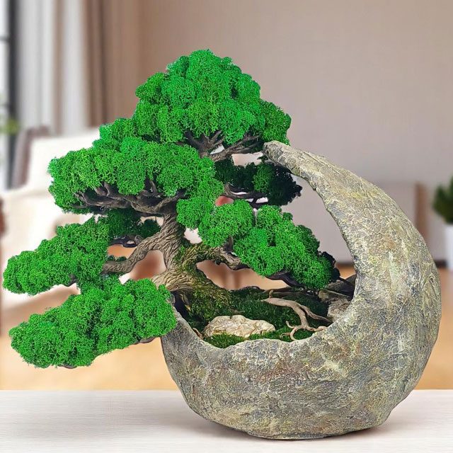 Bezúdržbový bonsai