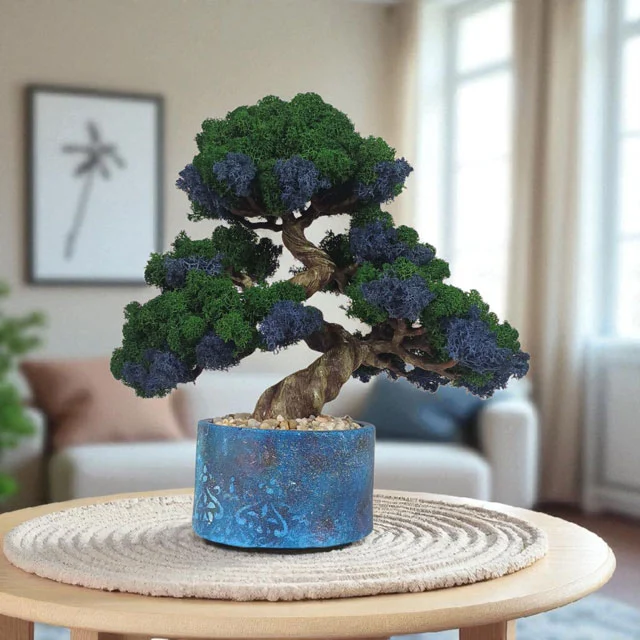 Nenáročný bonsai