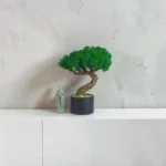 bezúdržbový bonsai zo stabilizovaného machu