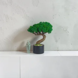 bezúdržbový bonsai zo stabilizovaného machu