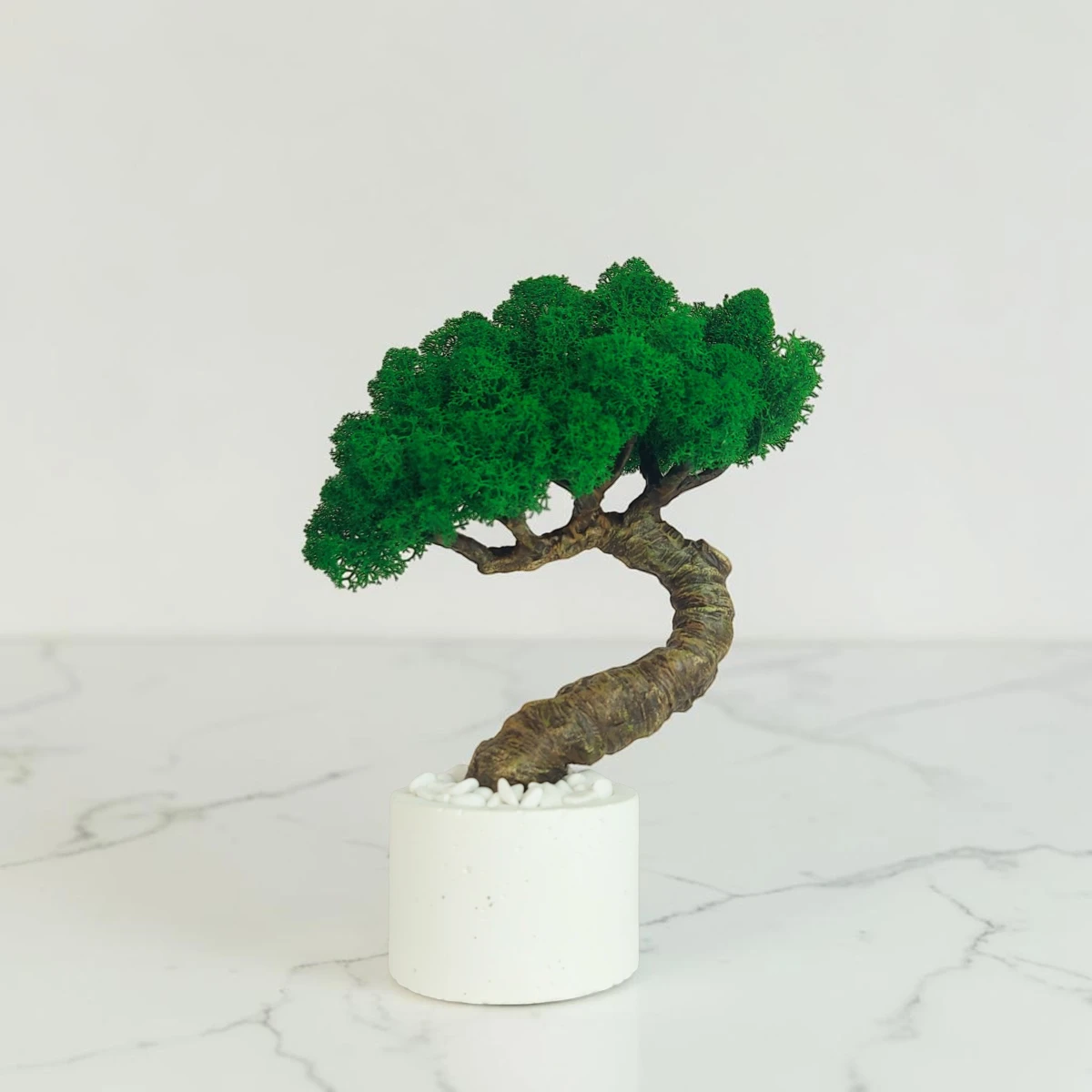 Bezúdržbový bonsai zo stabilizovaného machu
