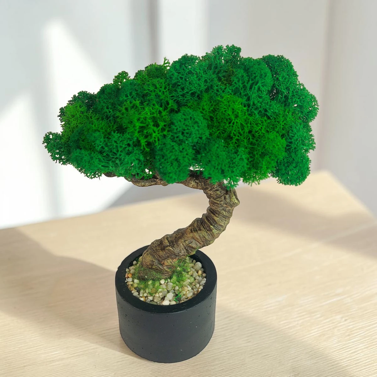 Bezúdržbový bonsai zo stabilizovaného machu v okrúhlom betónovom kvetináči (22x16 cm) – WoodYar – Obrázok 3