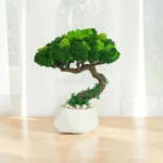 Bonsai izbový stabilizovaný v bielom geometrickom kvetináči