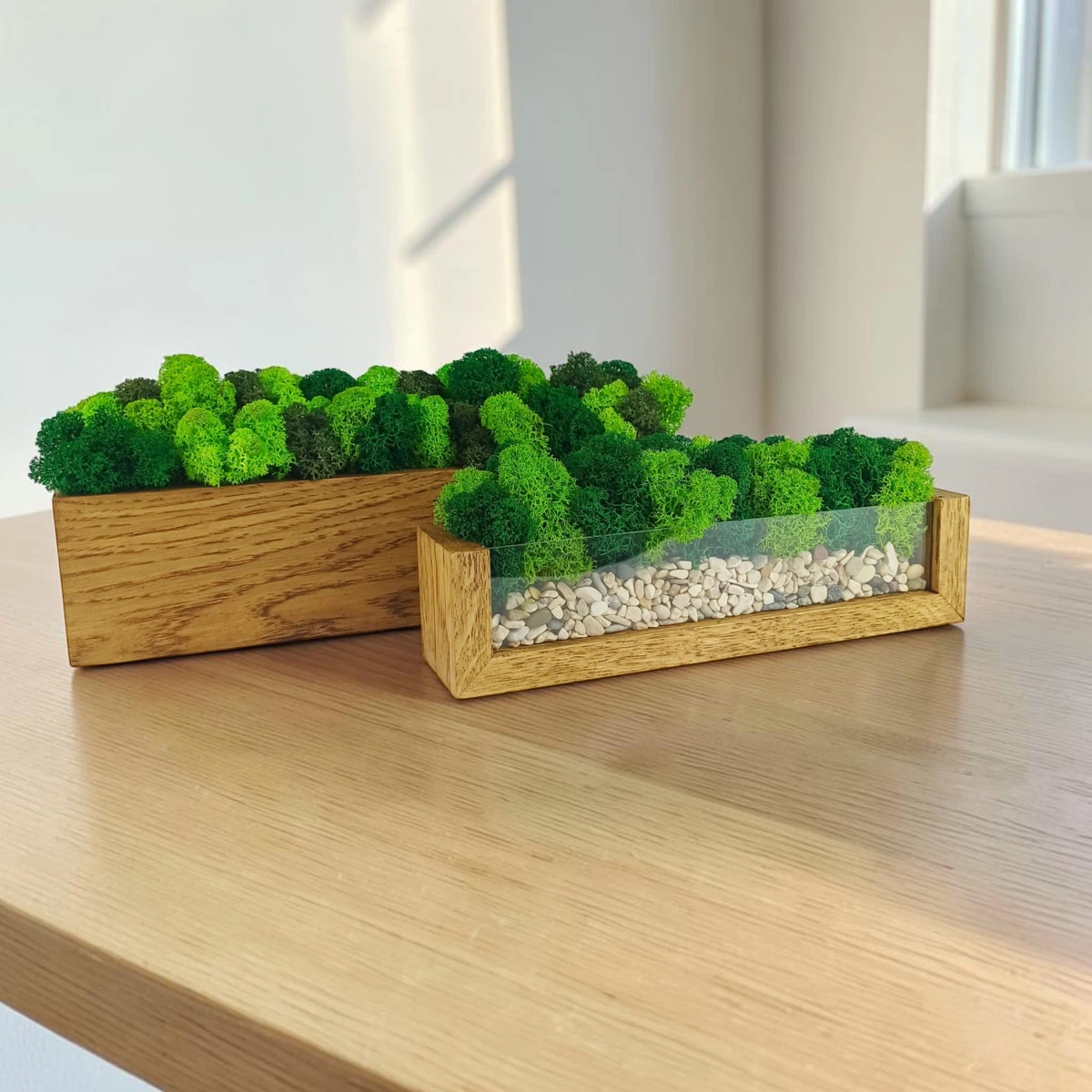 Kvetináč z dubového dreva s machom 30x8x8 cm, zelená machová dekorácia – Obrázok 5
