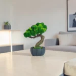 Machový bonsai mini v antracitovom kvetináči