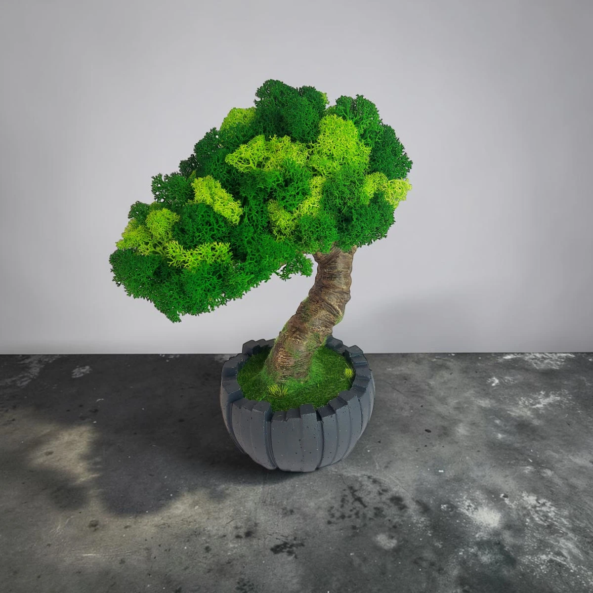 Machový bonsai mini v antracitovom kvetináči (22x16 cm) – WoodYar – Obrázok 2