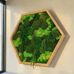 Machový hexagon zo stabilizovaného machu v borovicovom ráme