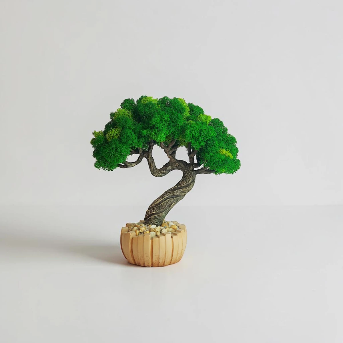Stabilizovaný bonsai v béžovom kvetináči