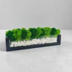 Stabilizovaný mach v kvetináči