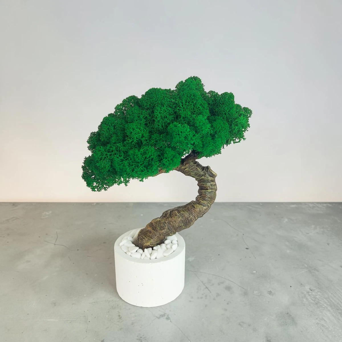 Bezúdržbový bonsai